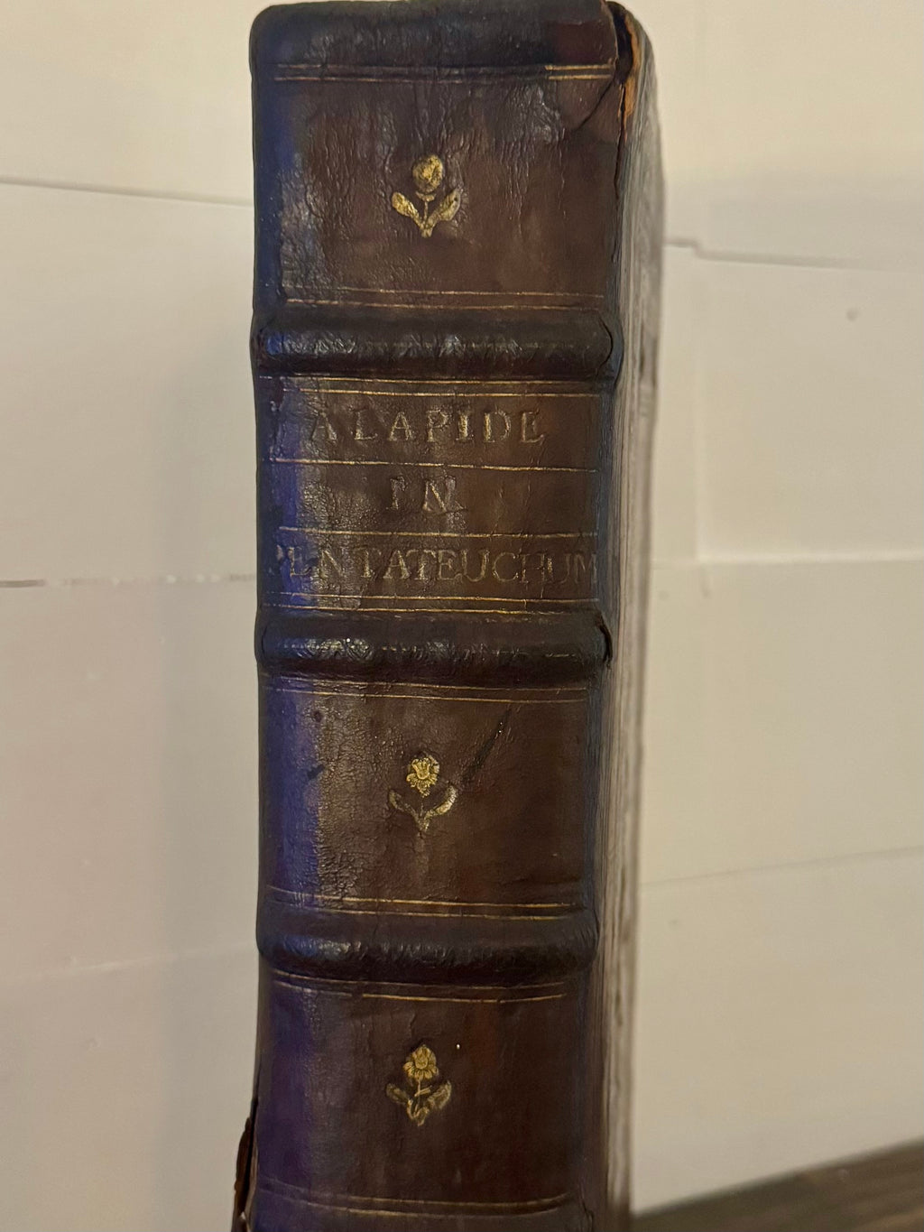 1681 Cornelius a Lapide – Commentaria in Pentateuchum Mosis – Massive Antwerp Folio – Original Leather
