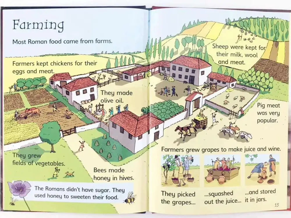 10 Books Box Set English Usborne Beginners History Primary Science 6-12 Years Early Education Picture Storybook Hardcover