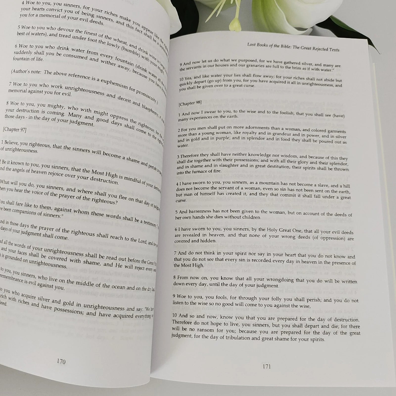 THE LOST BOOKS OF THE BIBLE Theme Religious Ancient Texts Collection Historical Christian Literature