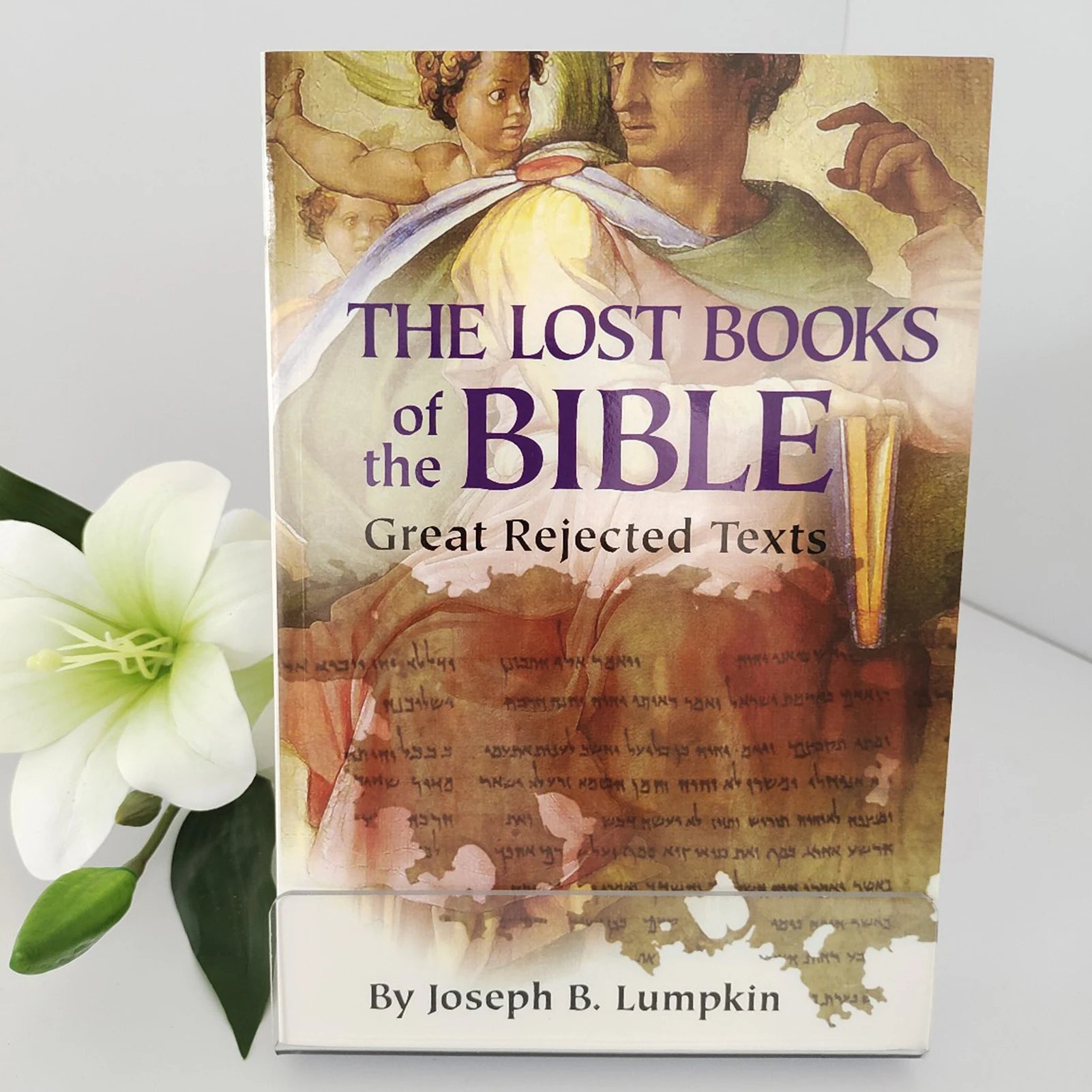 THE LOST BOOKS OF THE BIBLE Theme Religious Ancient Texts Collection Historical Christian Literature