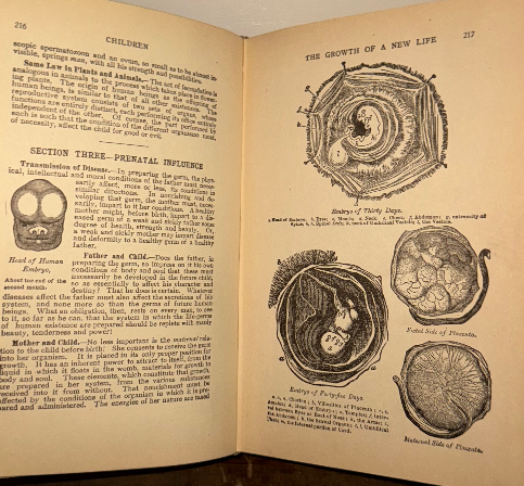 1920 Nature’s Secrets Revealed: The Laws of Sex Life and Heredity, or Eugenics