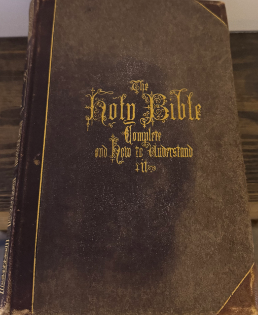 1874 Hitchcock’s New and Complete Analysis of the Holy Bible — Illustrated 19t