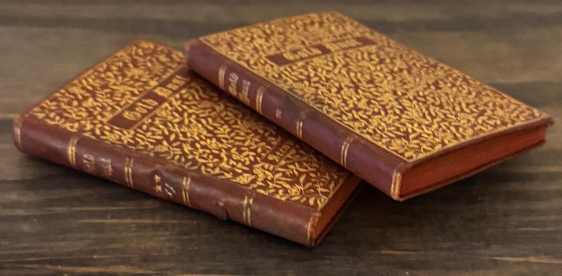 Gold Dust (1887) — Complete Two-Volume Victorian Set