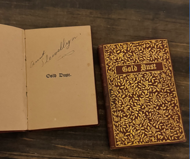 Gold Dust (1887) — Complete Two-Volume Victorian Set