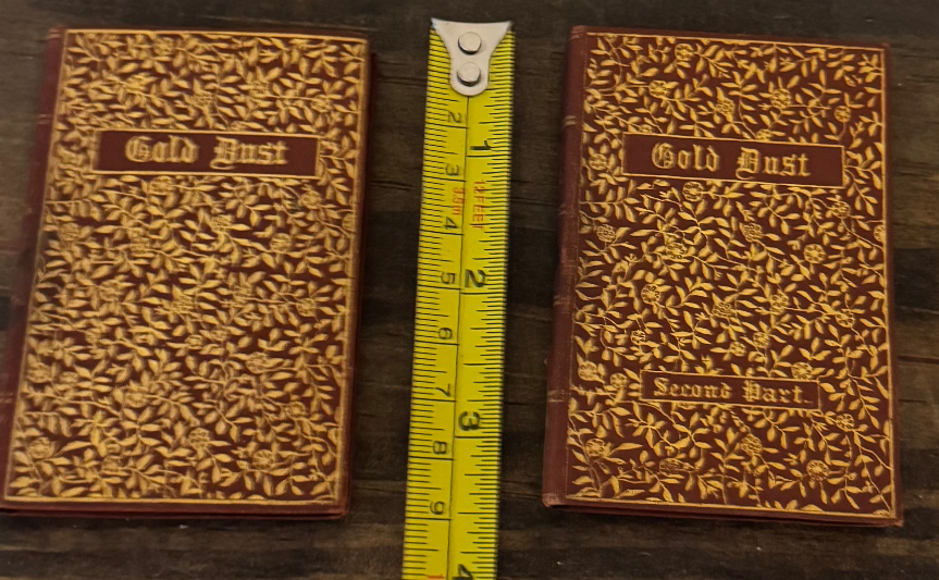 Gold Dust (1887) — Complete Two-Volume Victorian Set