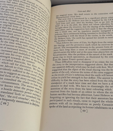 The Siege Perilous: Essays in Biblical Anthropology and Ancient Religion
